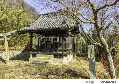 笠岡市街地 金刀比羅神社 社殿 岡山県笠岡市 笠岡市街地 金刀比羅神社 社殿 岡山県笠岡市 139560204