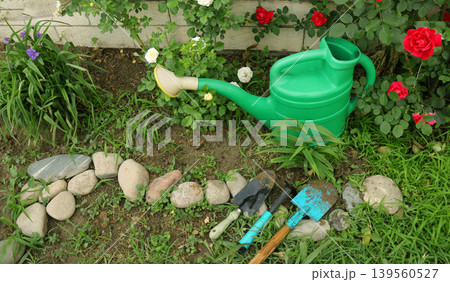 hands planting flowers in garden 139560527