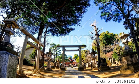 品川神社の鳥居と拝殿 139561102