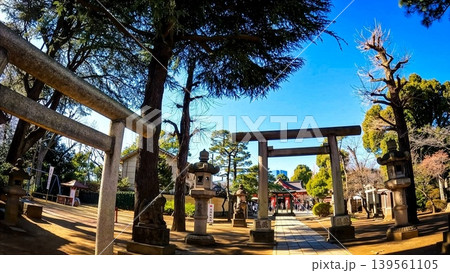 品川神社の鳥居と拝殿 品川神社の鳥居と拝殿 139561105