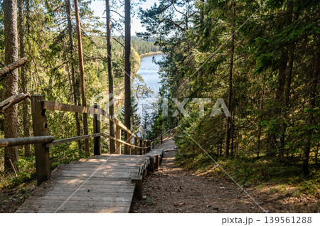 Trail leads down to river in Gauja National Park, Latvia with trees on either side Trail leads down to river in Gauja National Park, Latvia with trees on either side 139561288