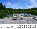 夏のニセコ・神仙沼の美しい湿原と青空 その1 139561516