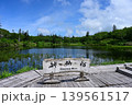 夏のニセコ・神仙沼の美しい湿原と青空 その2 139561517