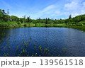北海道ニセコの秘境 神仙沼の雄大な景色 139561518