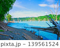 ダム湖に沈むガードレールと立ち枯れの木々 139561524
