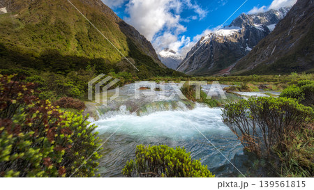 Crystal clear water at Monkey Creek in Hollyford Valley, Fiordland National Park, New Zealand. Crystal clear water at Monkey Creek in Hollyford Valley, Fiordland National Park, New Zealand. 139561815