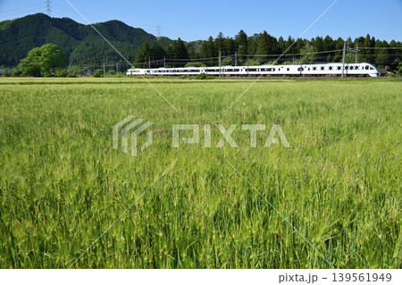 田園地帯を走る東武鉄道N100系スペーシアX 田園地帯を走る東武鉄道N100系スペーシアX 139561949