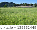 麦畑を行く東武鉄道100系スペーシア(日光詣カラー) 麦畑を行く東武鉄道100系スペーシア(日光詣カラー) 139562449
