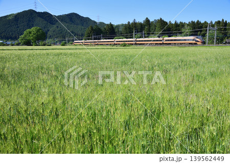 麦畑を行く東武鉄道100系スペーシア（日光詣カラー） 139562449