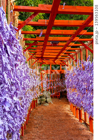 日本 金沢の金澤神社のおみくじ結び場 日本 金沢の金澤神社のおみくじ結び場 139563108