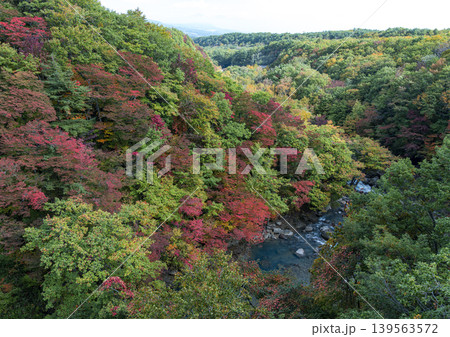紅葉に染まる渓谷 紅葉に染まる渓谷 139563572