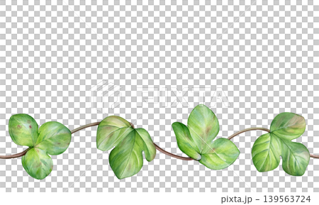 Watercolor botanical border of green hepatica leaves on curved stems. Spring leaves. Ideal for stationery, wedding invites, packaging, branding and seamless designs Watercolor botanical border of green hepatica leaves on curved stems. Spring leaves. Ideal for stationery, wedding invites, packaging, branding and seamless designs 139563724