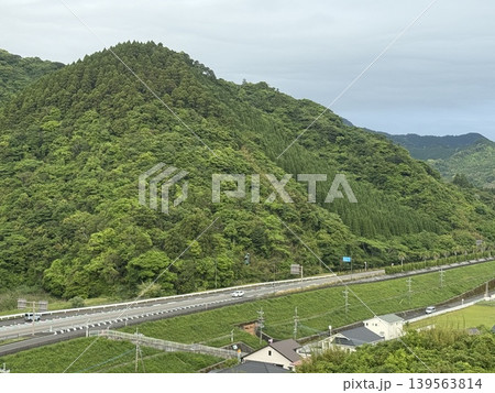 国道220号線の青島付近 139563814