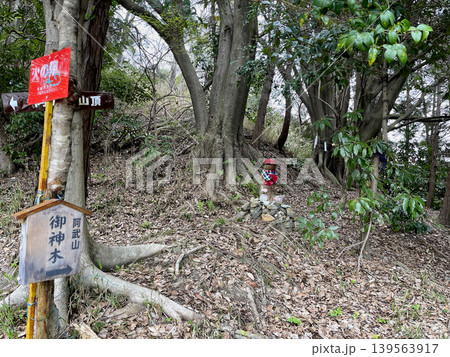 阿武山山頂 近くの阿武山御神木 阿武山山頂 近くの阿武山御神木 139563917