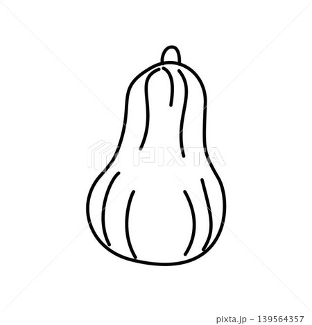 butternut squash outline illustration 139564357