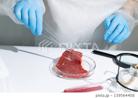Woman scientist examining lab-grown meat in petri dish with tweezers. In vitro cultivation of artificial protein for sustainable food production. Biotechnology innovation addressing global hunger. Woman scientist examining lab-grown meat in petri dish with tweezers. In vitro cultivation of artificial protein for sustainable food production. Biotechnology innovation addressing global hunger. 139564408
