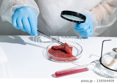 Woman scientist examining cultivated meat sample in petri dish with magnifying glass. Biotechnology research on lab-grown protein. Sustainable food production innovation for future agriculture. Woman scientist examining cultivated meat sample in petri dish with magnifying glass. Biotechnology research on lab-grown protein. Sustainable food production innovation for future agriculture. 139564409