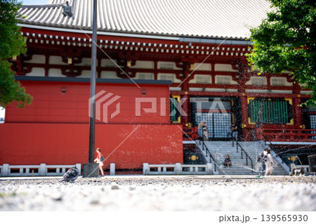 夏の寺院、水しぶきと鳩 139565930