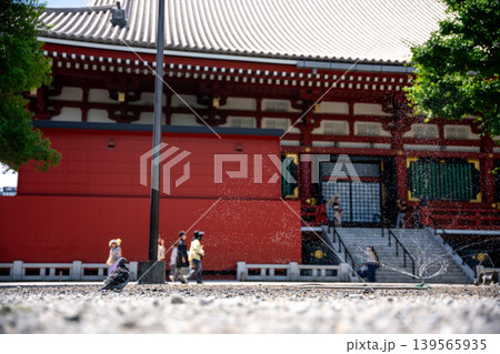 日本の寺院、水撒きと鳩 139565935
