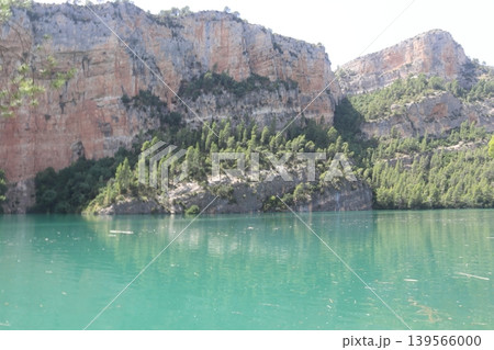 Pine Forest on Limestone Cliffs by Cortes de Pallas Reservoir 139566000