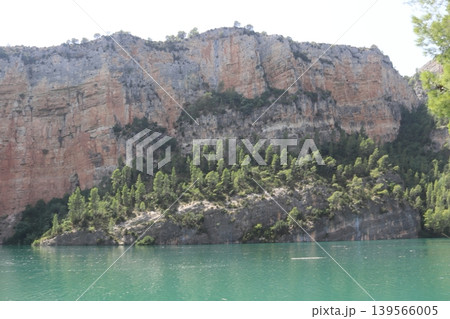 Pine Forest on Limestone Cliffs by Cortes de Pallas Reservoir Pine Forest on Limestone Cliffs by Cortes de Pallas Reservoir 139566005