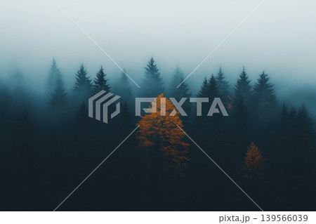 Autumn forest with vibrant orange tree amidst misty green surroundings 139566039