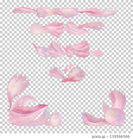 Watercolor pink peony petal compositions. Set of floral elements for feminine branding, wedding invitations, greeting cards, cosmetic packaging decor, scrapbooking, social media, modern stationery Watercolor pink peony petal compositions. Set of floral elements for feminine branding, wedding invitations, greeting cards, cosmetic packaging decor, scrapbooking, social media, modern stationery 139566566