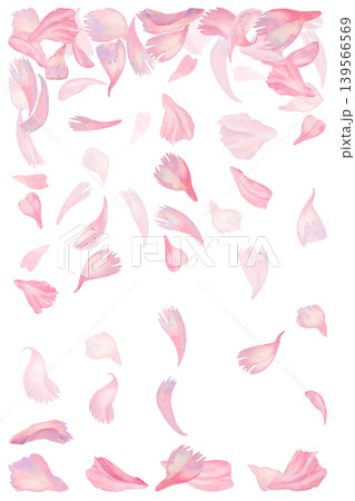 Watercolor pink peony petals falling around an open square space. Romantic floral frame with light transparent texture for beauty branding, greeting cards, feminine packaging, wedding templates 139566569