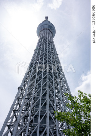 晴天にそびえる東京スカイツリー 晴天にそびえる東京スカイツリー 139566986