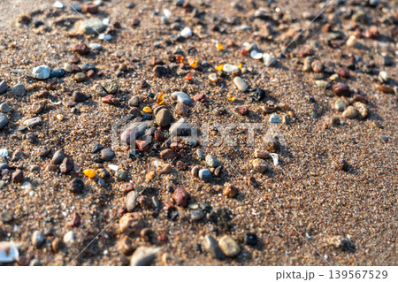 Amber stones on sea coast. Amber gems search on Baltic sea shore, fossilized tree resin crystals on sand Amber stones on sea coast. Amber gems search on Baltic sea shore, fossilized tree resin crystals on sand 139567529