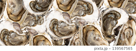 Fresh Opened Oyster Pattern Fresh Opened Oyster Pattern 139567565