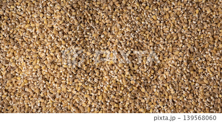 Pearl barley grains textured background Pearl barley grains textured background 139568060