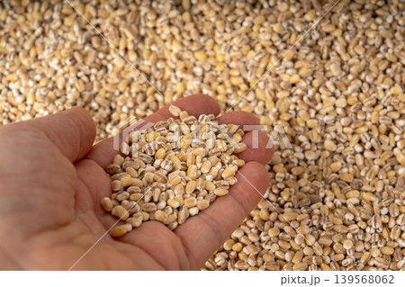 Pearl barley grains textured background Pearl barley grains textured background 139568062
