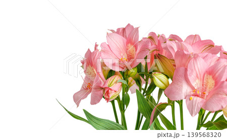 pink alstroemeria flower, Lily of the Incas, in vase on isolated white background pink alstroemeria flower, Lily of the Incas, in vase on isolated white background 139568320