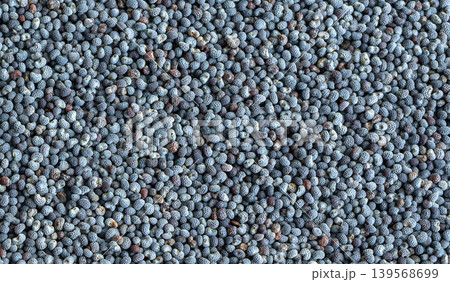 Macro Detailed Poppy Seed Pattern Top View 139568699