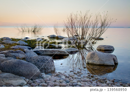 Serene lakeside with stones and bare shrubs at sunset 139568950
