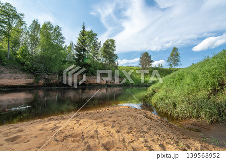 Beautiful summer landscape with a riverbank and green forest Beautiful summer landscape with a riverbank and green forest 139568952