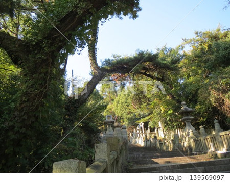2014年・香川・観音寺・八幡・風景・神社・琴引八幡宮・其の五十五 139569097
