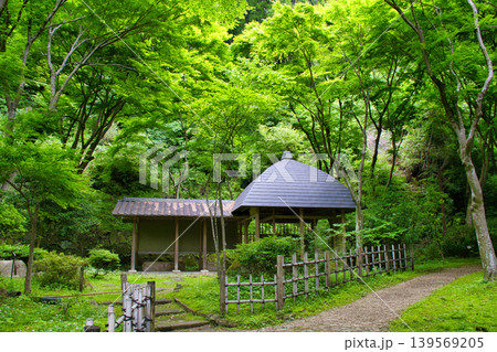 【神奈川県】七沢森林公園の休憩所 139569205