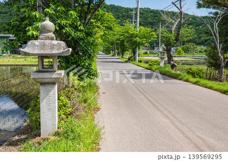 阿賀神社への参道 滋賀県東近江市 阿賀神社への参道 滋賀県東近江市 139569295