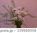 ヒナギク 139569350