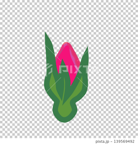 An illustration of a pink rosebud just beginning to bloom. An illustration of a pink rosebud just beginning to bloom. 139569492
