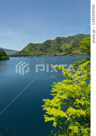 初夏の八ッ場ダム　八ッ場あがつま湖　群馬県 139569500