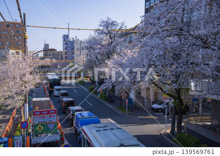 桜が満開の西武新宿線沿いの交通【春イメージ】 139569761