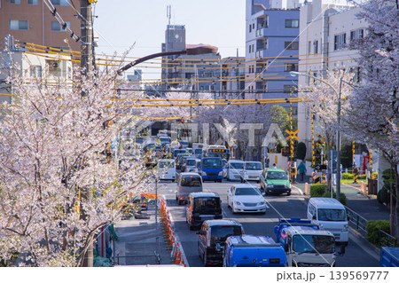 桜が満開の西武新宿線沿いの交通【春イメージ】 139569777
