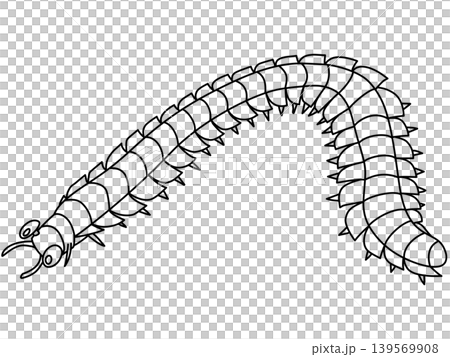 石炭紀のアースロプレウラのデフォルメイラスト 139569908