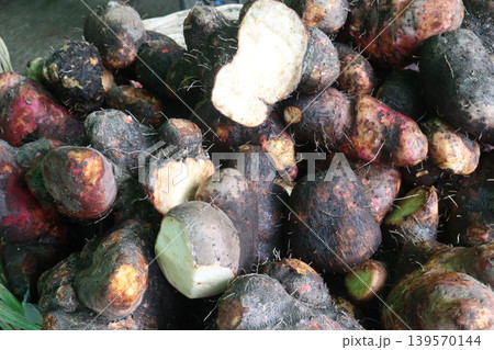 dioscorea alata purple yam on shop for sell are cash crops dioscorea alata purple yam on shop for sell are cash crops 139570144