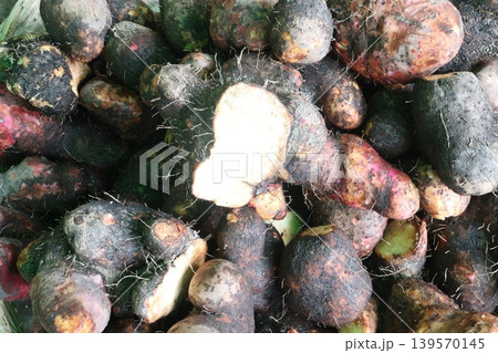 dioscorea alata purple yam on shop for sell are cash crops dioscorea alata purple yam on shop for sell are cash crops 139570145