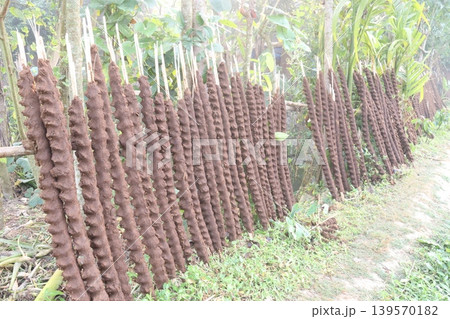Hanging sticks of dried dung on the farm Hanging sticks of dried dung on the farm 139570182