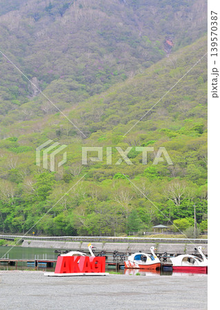 新緑の赤城大沼湖畔 新緑の赤城大沼湖畔 139570387